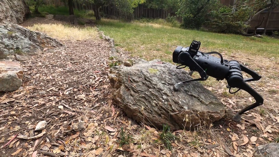 The Future of Robotic Mobility: A Quadruped That Conquers Any Terrain