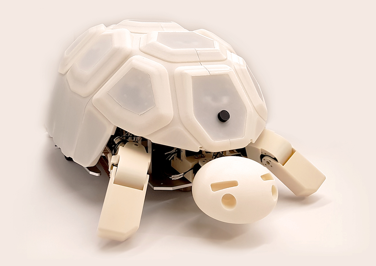 Teaching Kindness: How a Robotic Tortoise is Shaping a Better Tomorrow