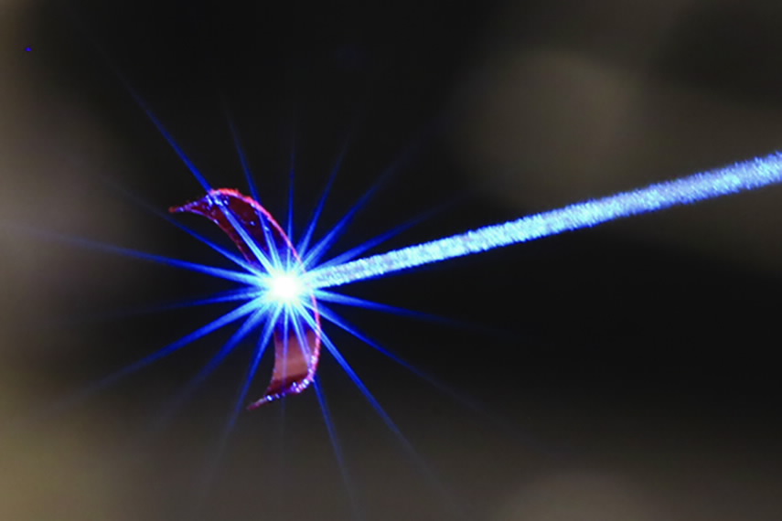 The Innovation of Bio-inspired Robotics: The Venus Flytrap Gripper