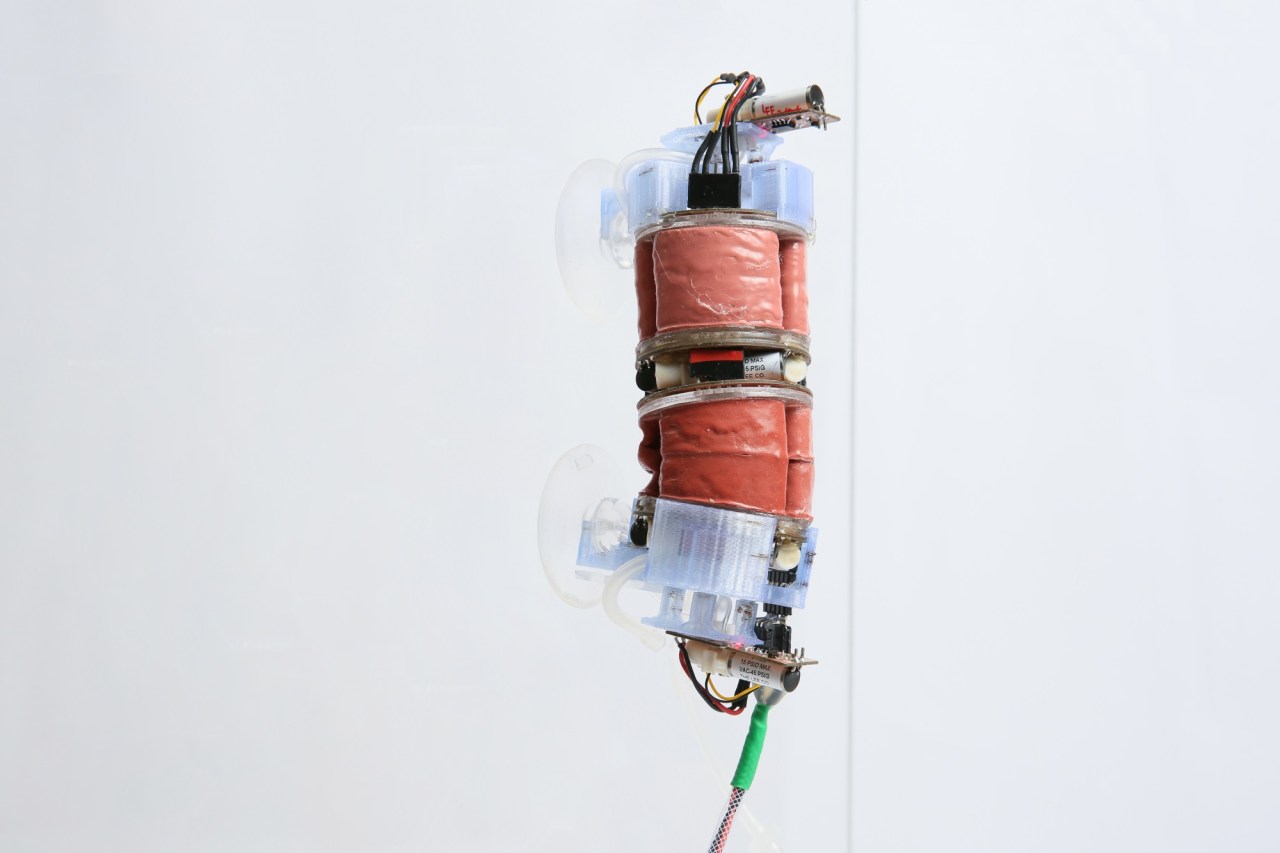 The Future of Soft Robotics: Exploring the Vacuum-Activated Modular Robot