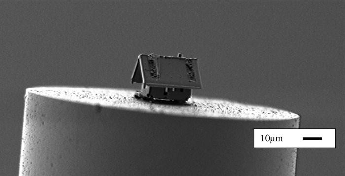 The Exciting Leap into Nano Architecture: Tiny Houses Take a New Turn