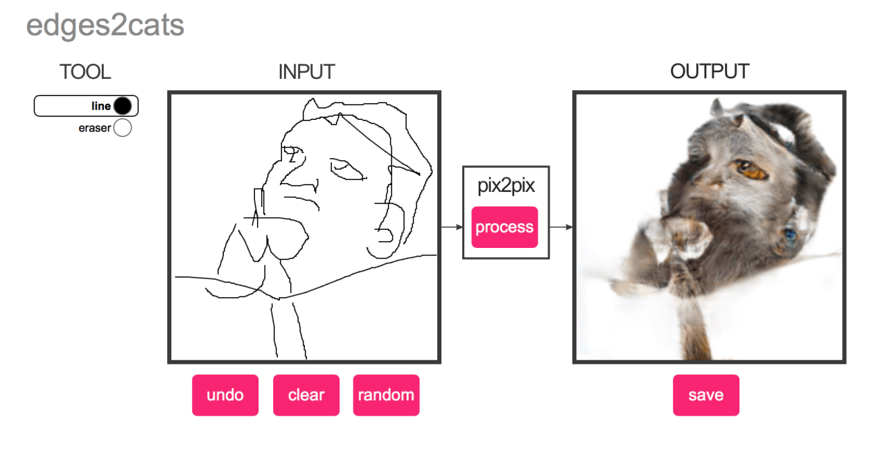 Unleashing Feline Fantasies: The Edge of Machine Learning and Cat Creations