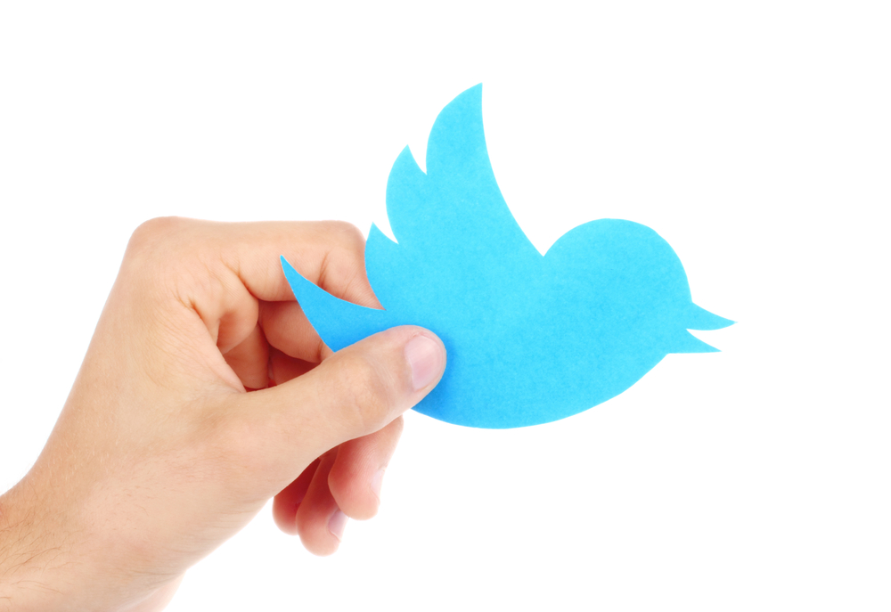 Twitter’s Proactive Defense Against Spambots: A New Era of Transparency and Engagement