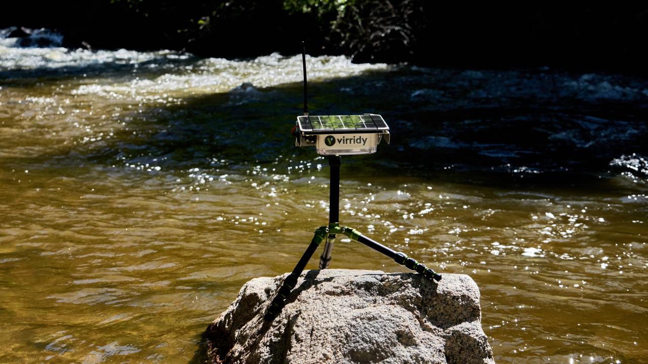 Virridy’s $5.5 Million Push: Revolutionizing Environmental Resource Monitoring