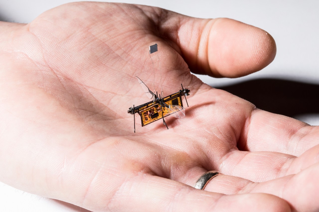 The Dawn of Wireless Flying Robots: Dive into the World of RoboFly