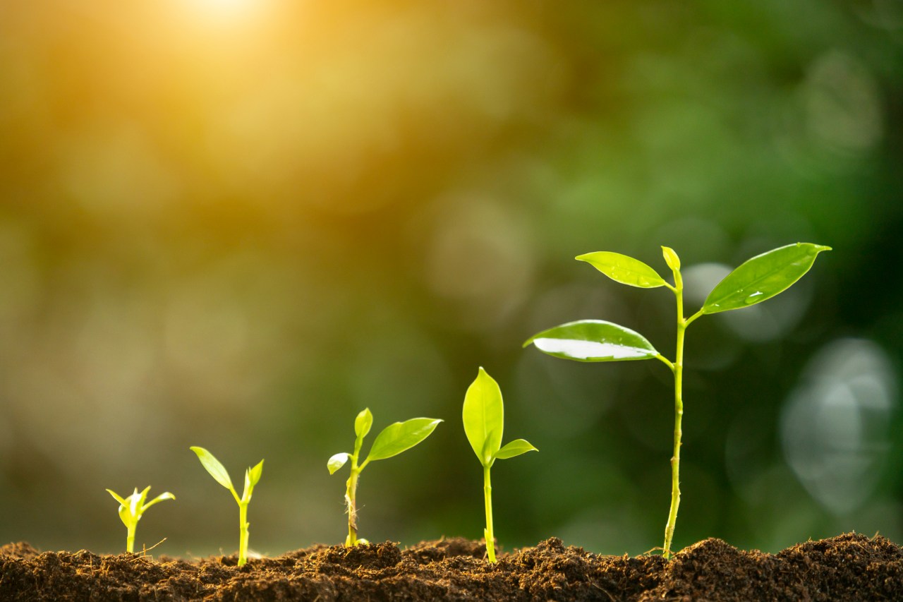 What AI Startups Need to Attract VC Investment