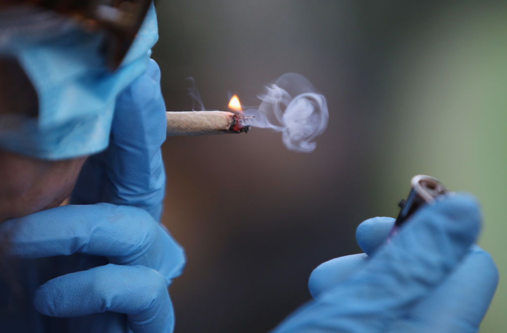 The Resurgence of Cannabis: Transforming Challenges into Opportunities