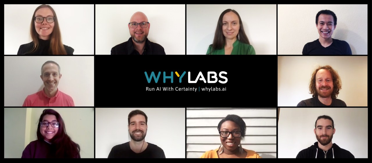 Enhancing Transparency in Machine Learning Operations: The Rise of WhyLabs