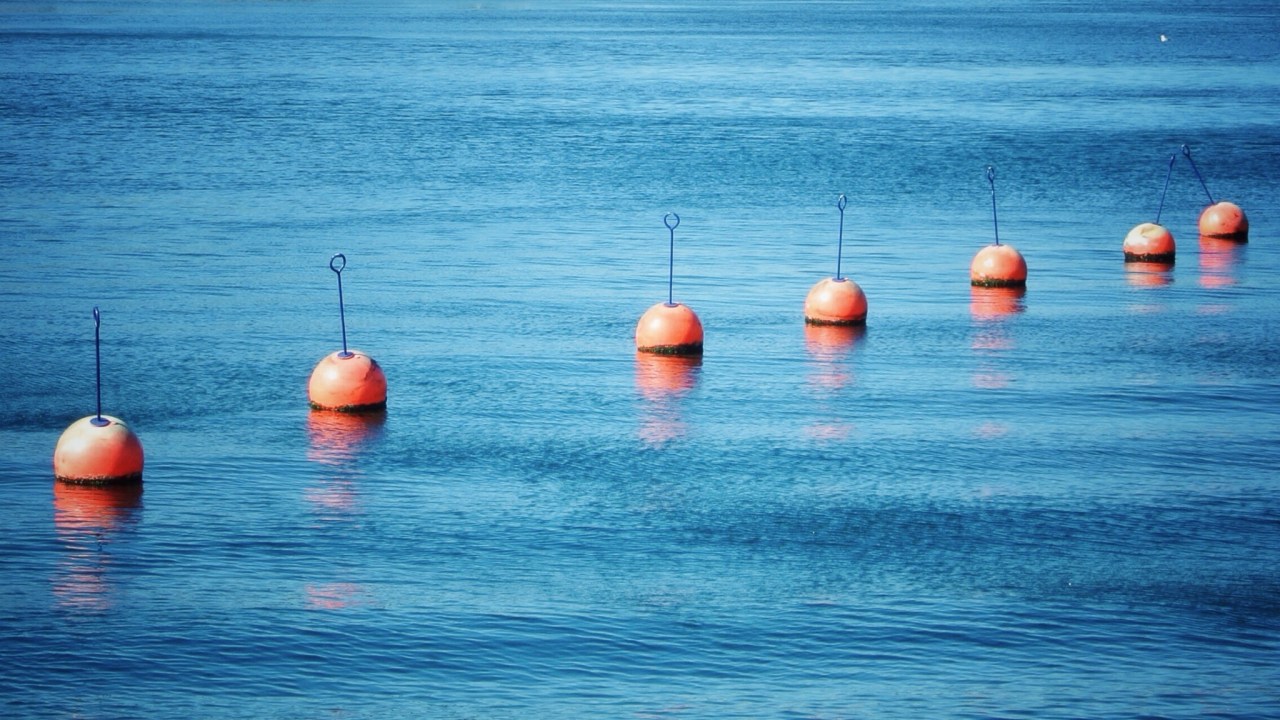 Transforming Aquaculture: How Wittaya Aqua is Pioneering Data-Driven Solutions
