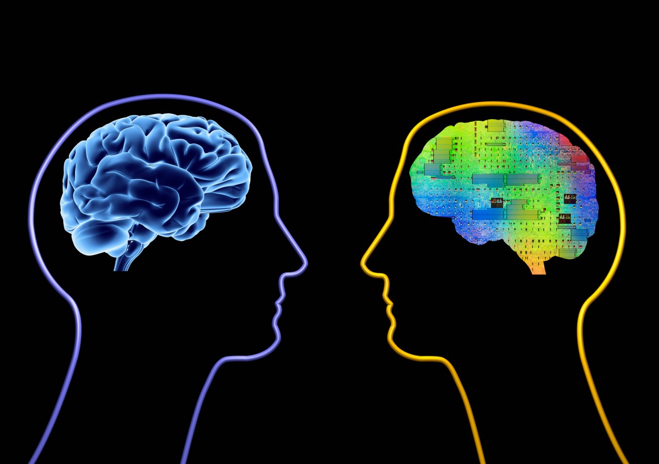 Embracing AI’s Ethical Landscape: Insights from Joanna Bryson’s AMA