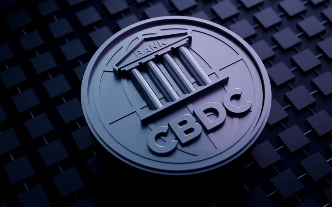 The Rise of Central Bank Digital Currencies