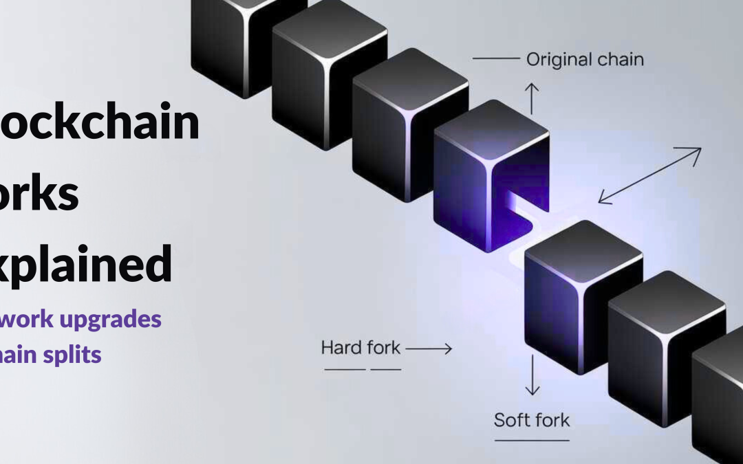 Blockchain Forks: Network Upgrades and Chain Splits