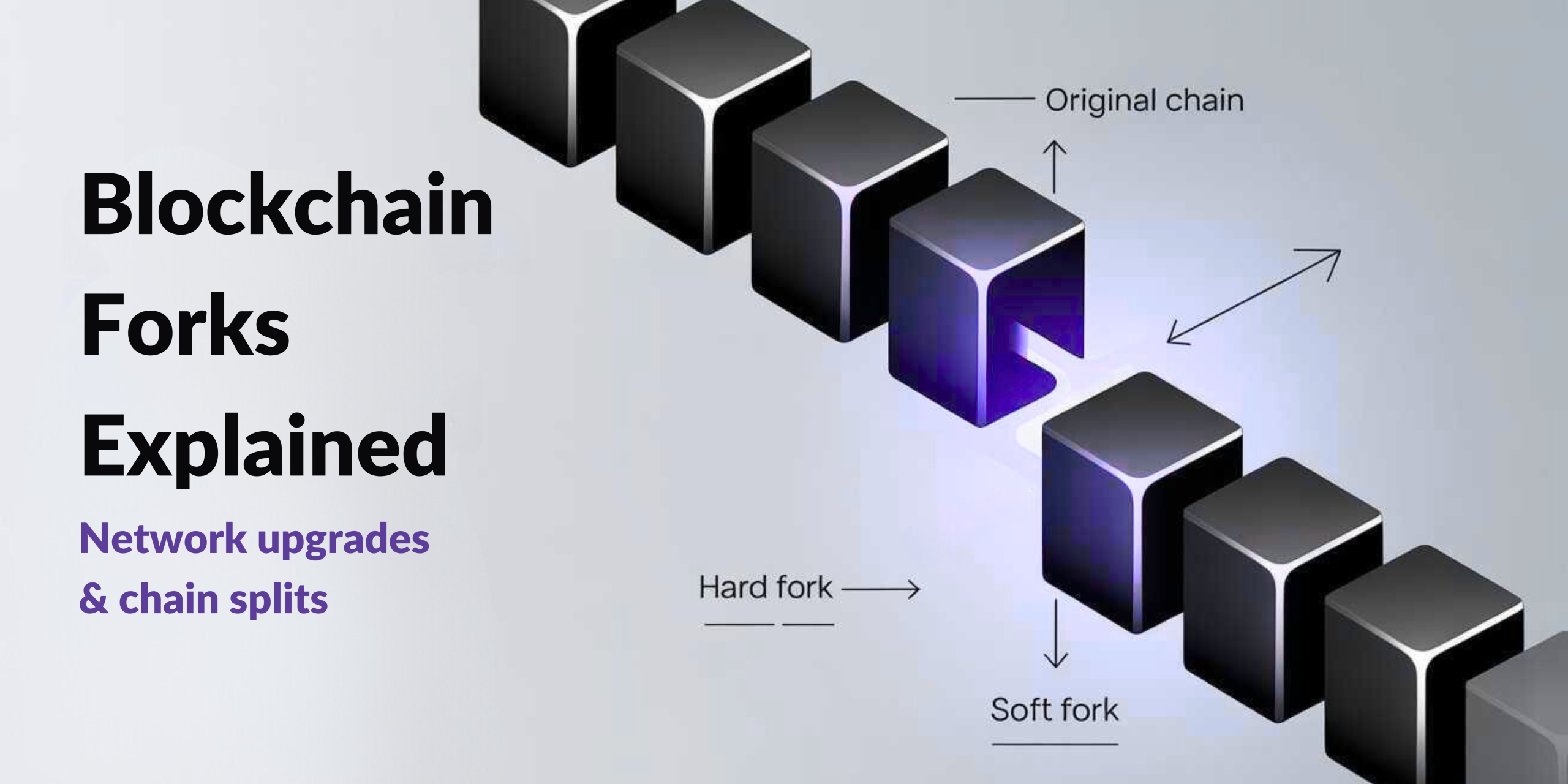 Blockchain Forks