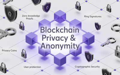 Privacy and Anonymity: Protecting User Information
