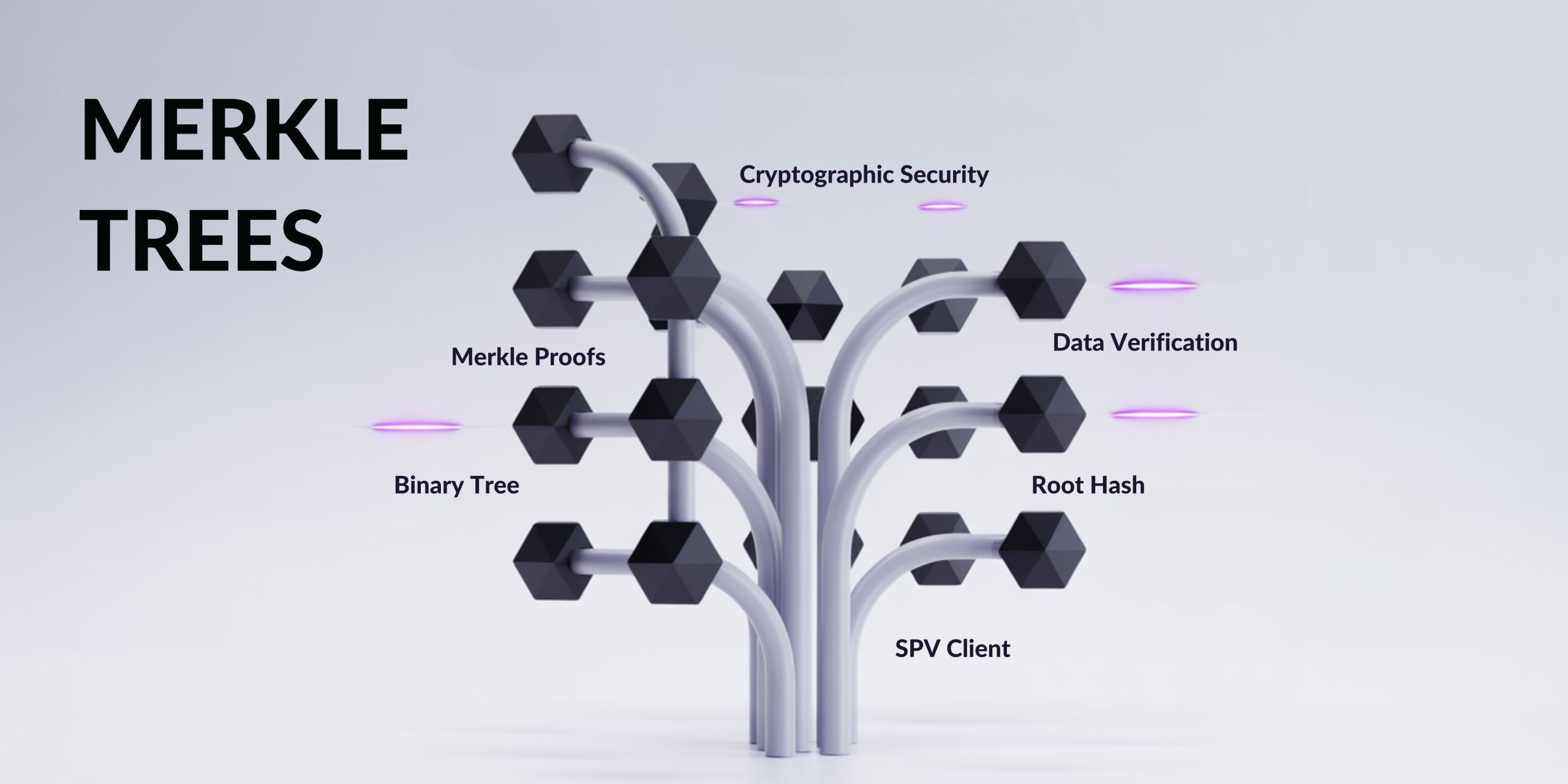 Merkle Trees Verification