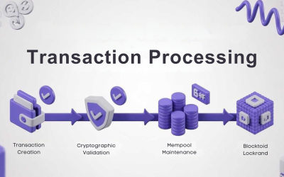Transaction Processing: From Creation to Confirmation